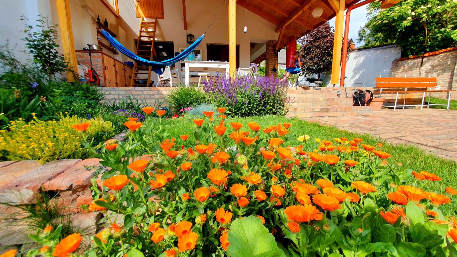 Július 1-ig lehet pályázni - a legvirágosabb balkonokat és kerteket keresik Fehérvárról is